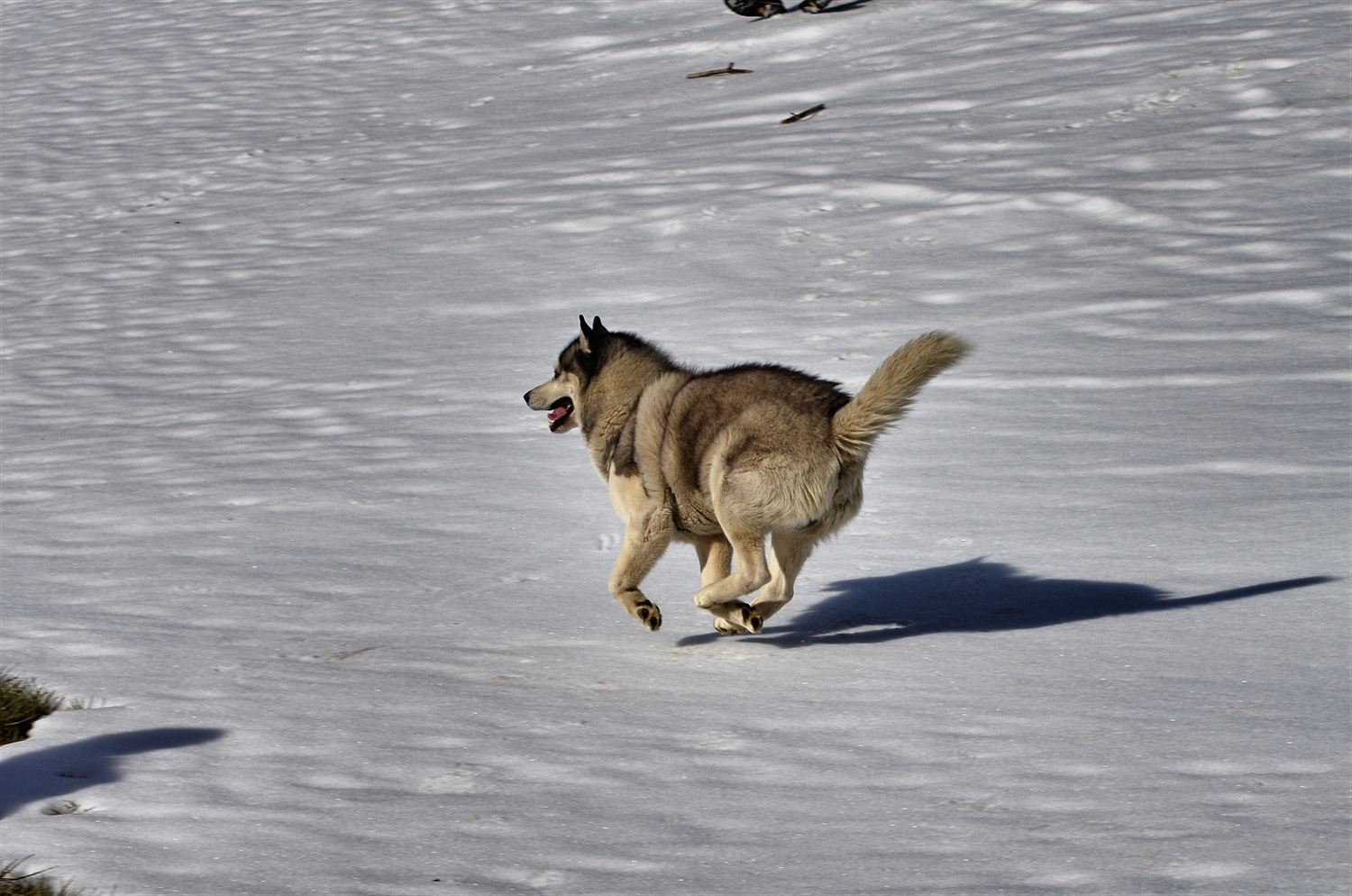 Running