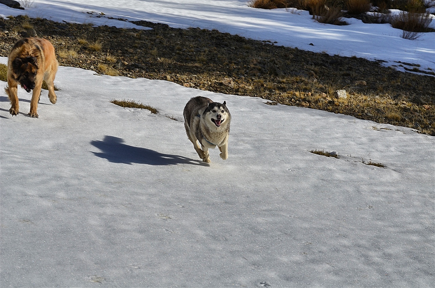 Running