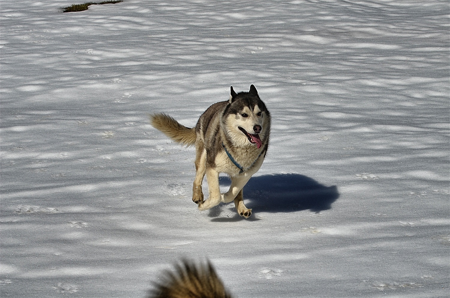 Running