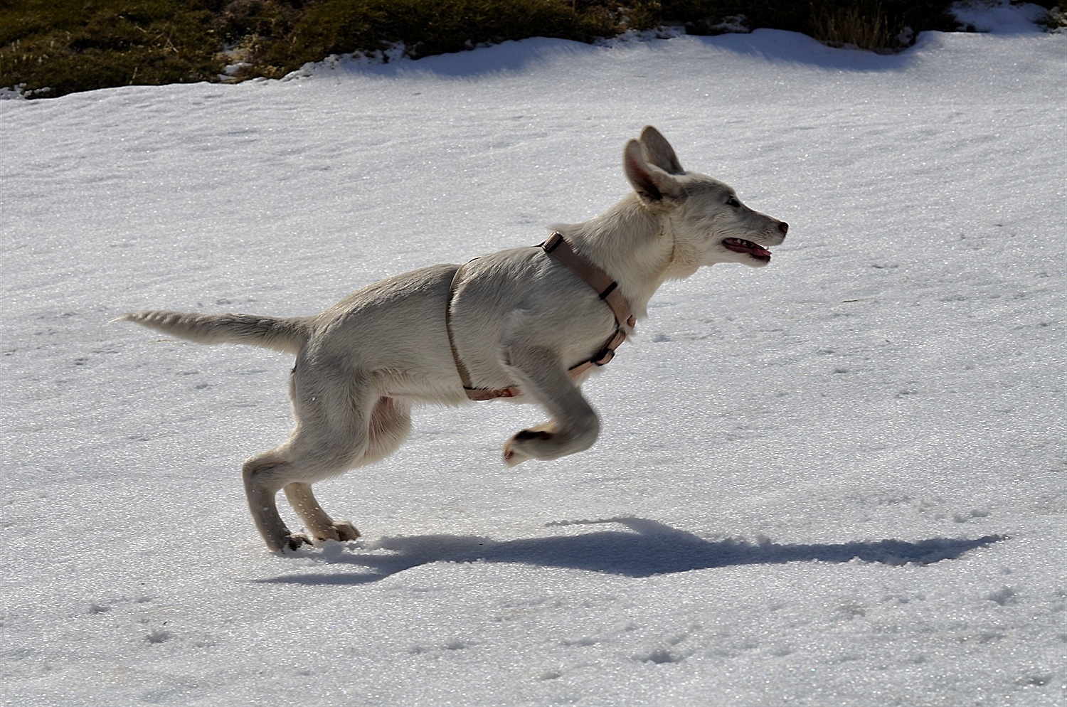 Running