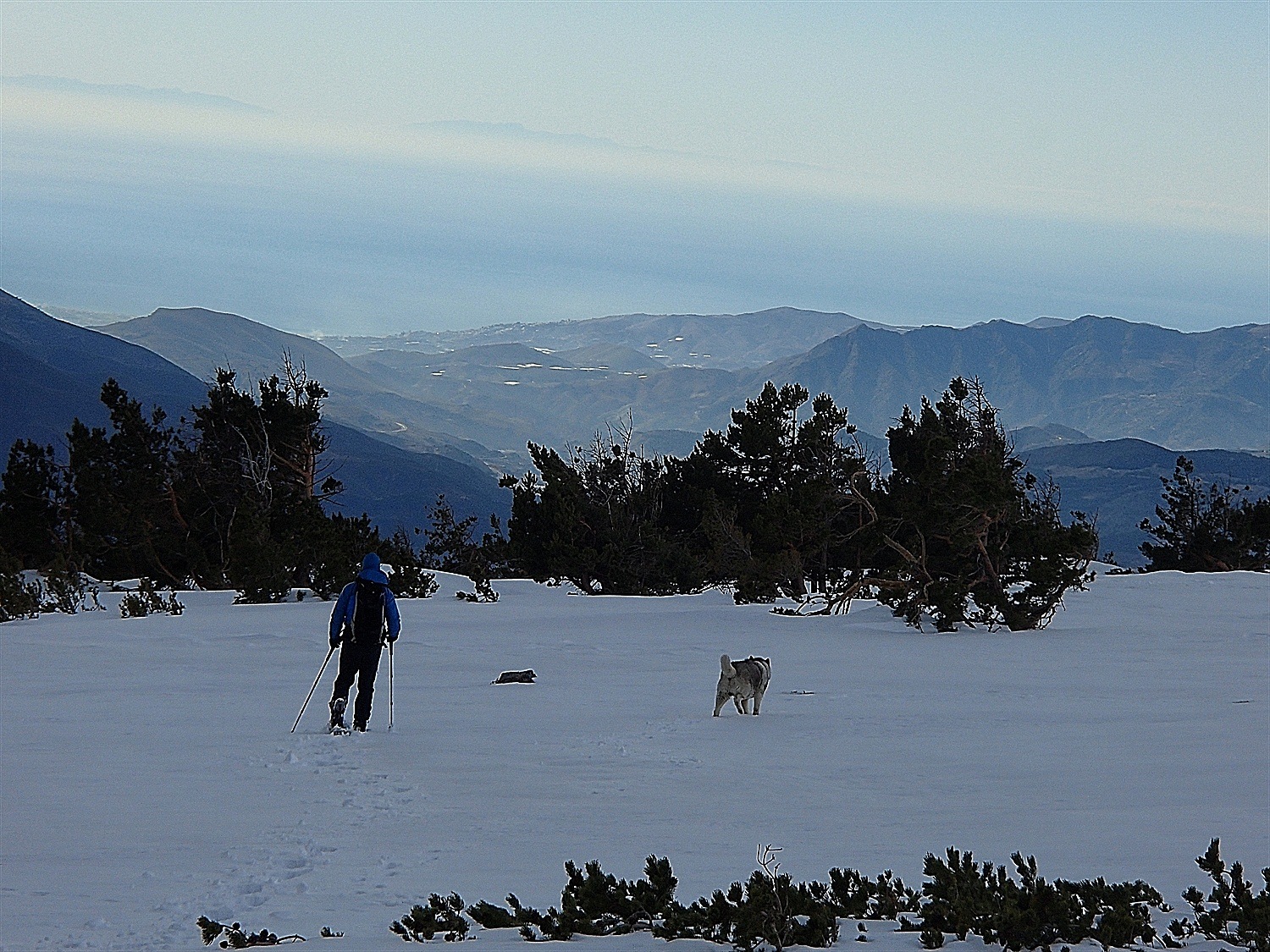 How to get let off your lead, pull your hu'mum over in your excitement of snow. Oh and you can see Africa in the distance on the wonky skyline!