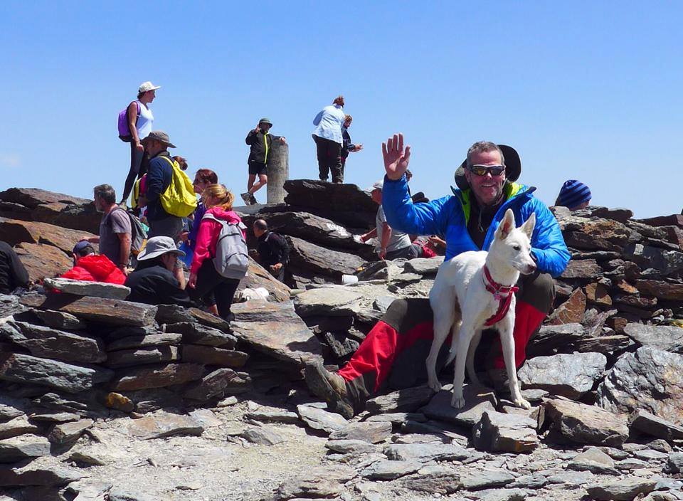 Rita on the summit of Mulhacen 3482m August 9th 2014. The highest dog in Spain