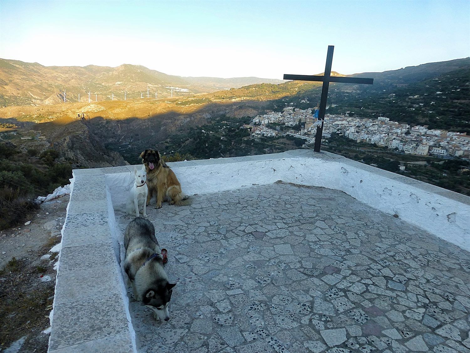 Khumbu is so not into group photos. Being a typical husky say sit and stay and he does the opposite!