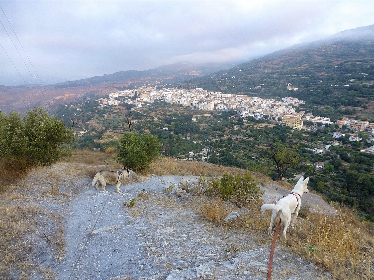 A cloudy humid Lanjaron