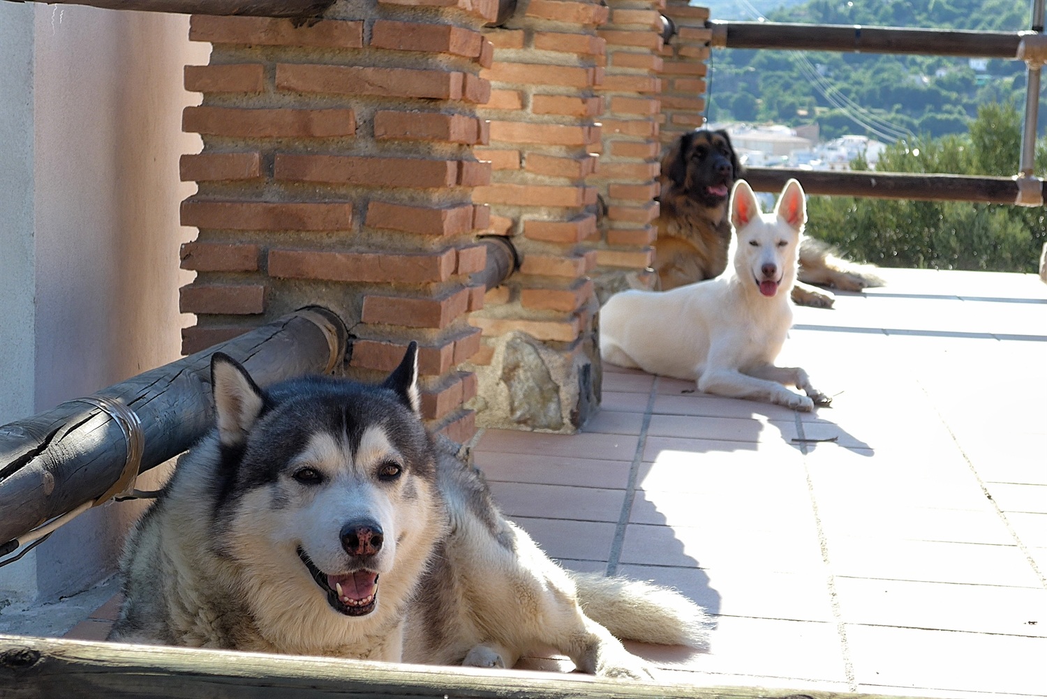 We all have our own bit of shade