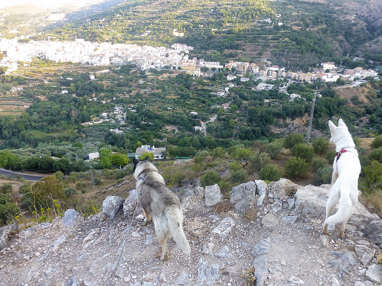 Checking out for mountain goats below us, there were none today