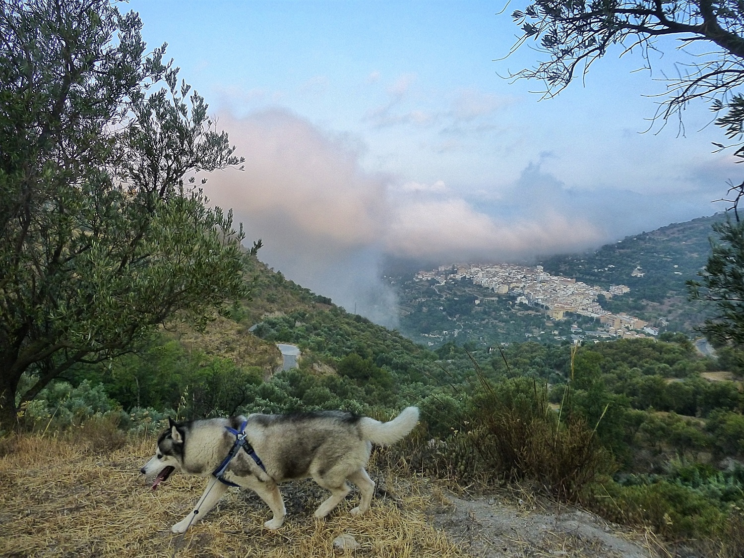 Lanjaron (and us) about to disappear again as another wave of mist engulfs
