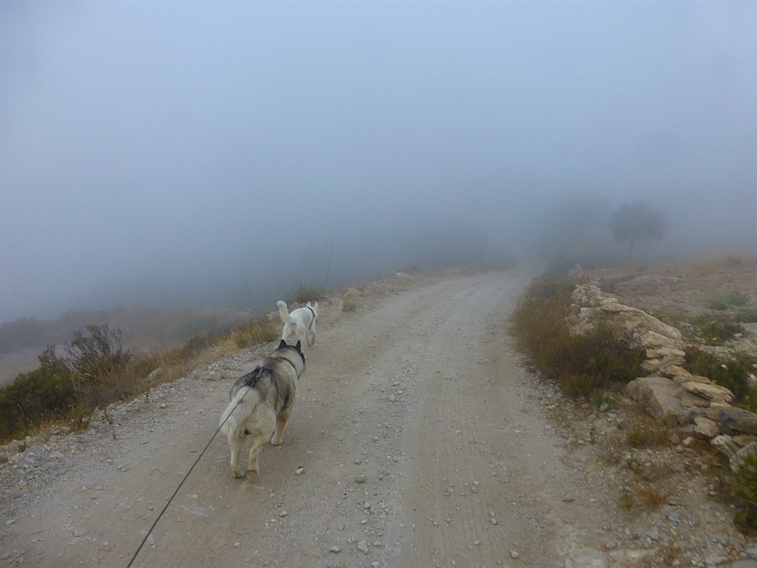 Don't go too far ahead Rtia we may lose you BOL