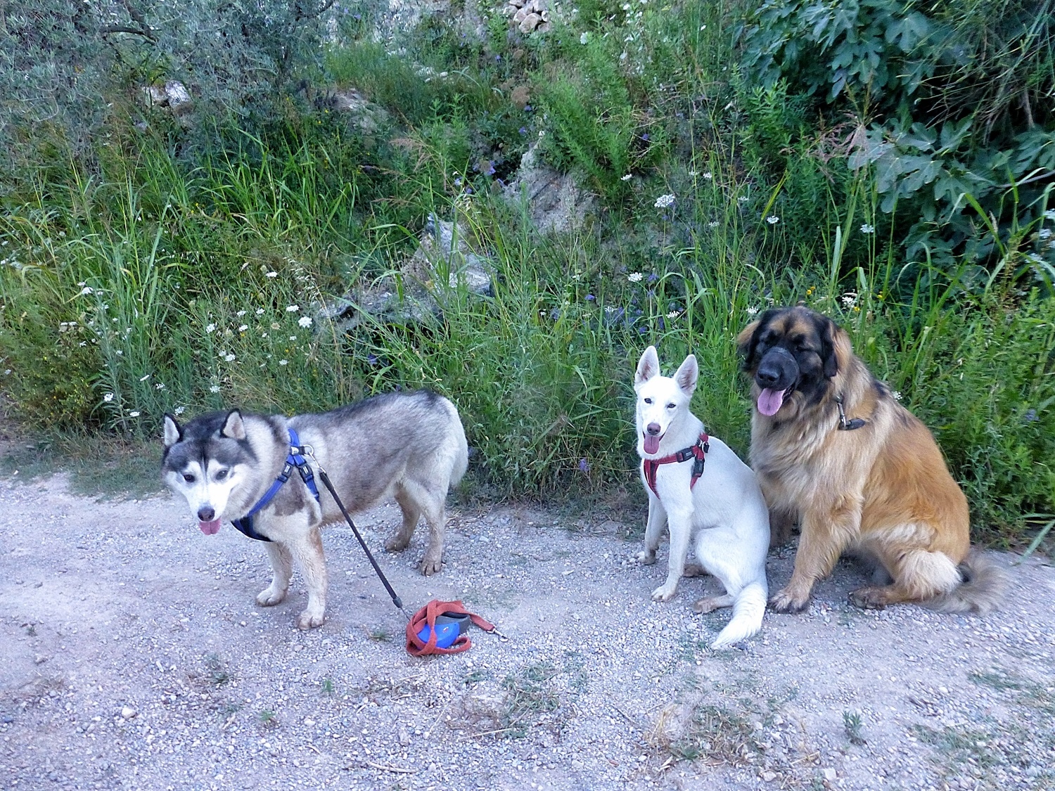 Family shot