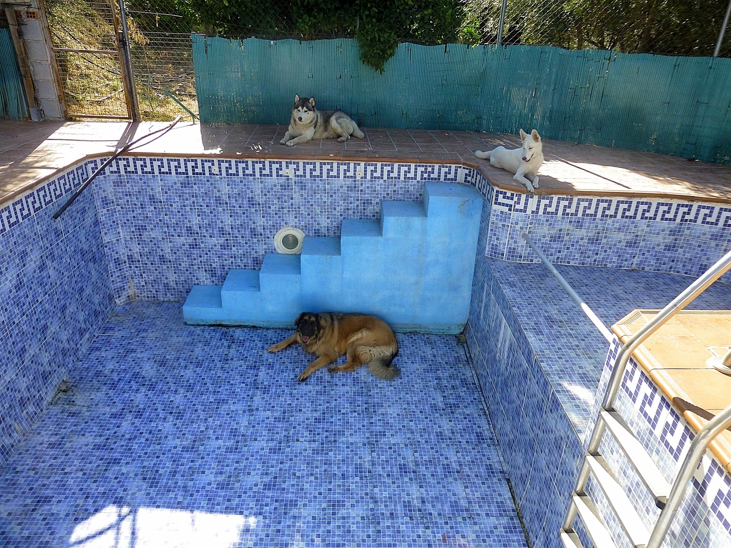 Protesting because the pool has no water!