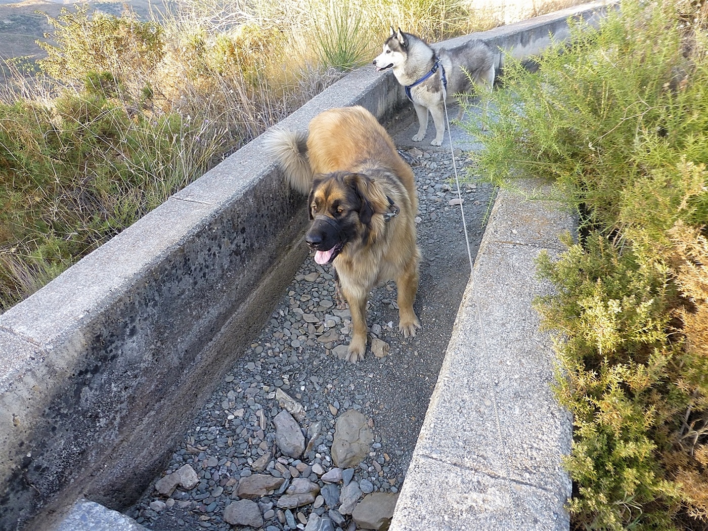 Still no water. We think there will be no water until it rains again, whenever that will be, most likely November time, but we have to check anyway