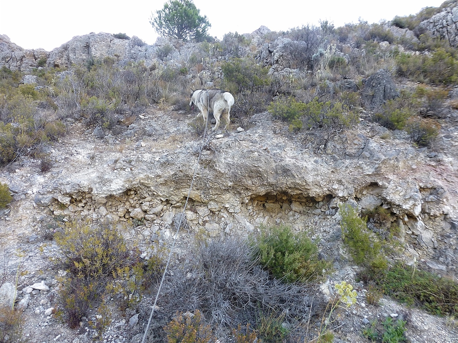 I'm off mountaineering, follow me