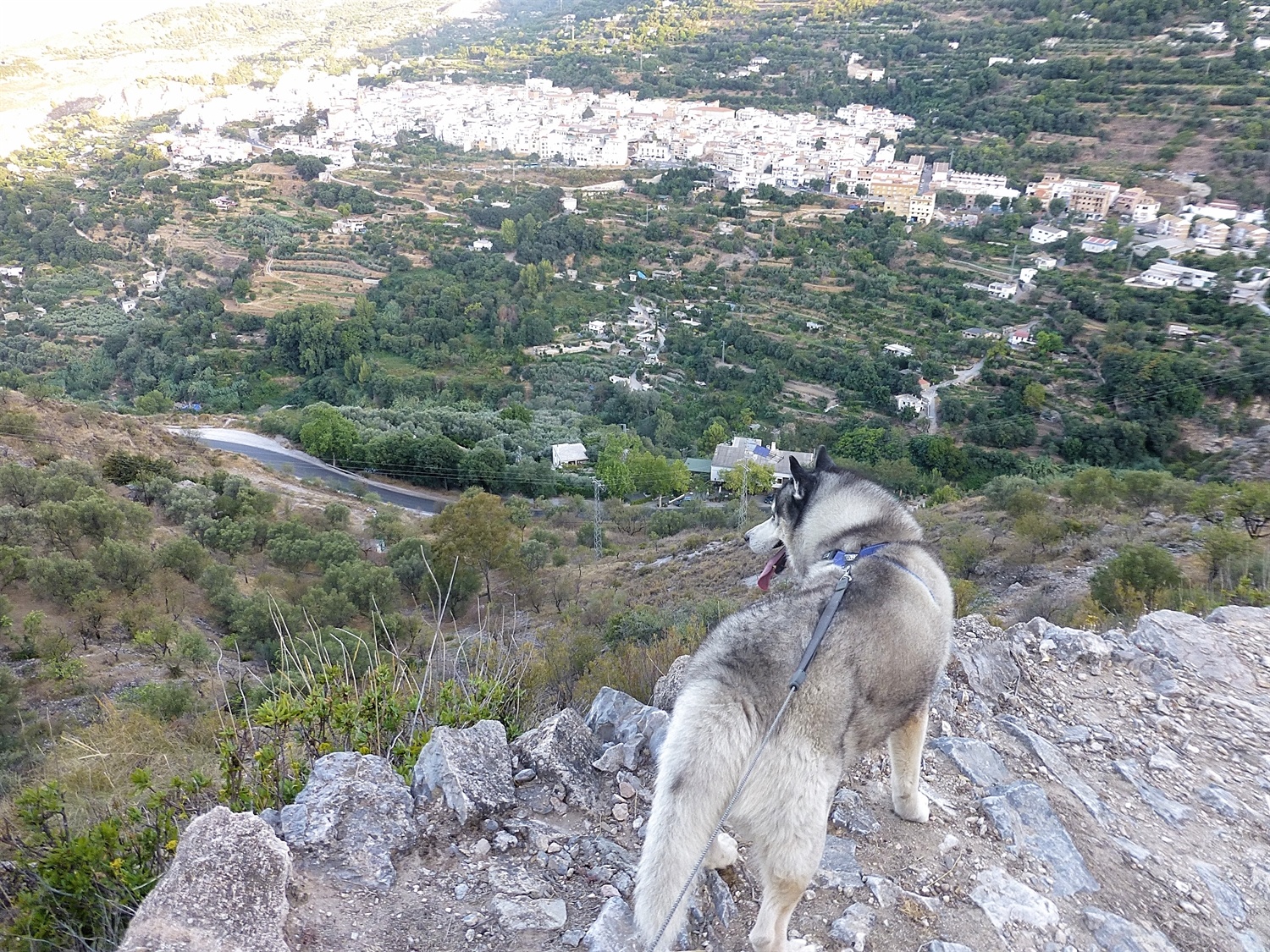 No mountain goats down there, we saw them earlier in the walk, no photos as hu'mum was holding onto us.