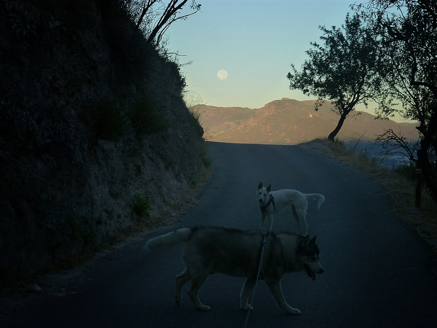Walking towards the setting full moon