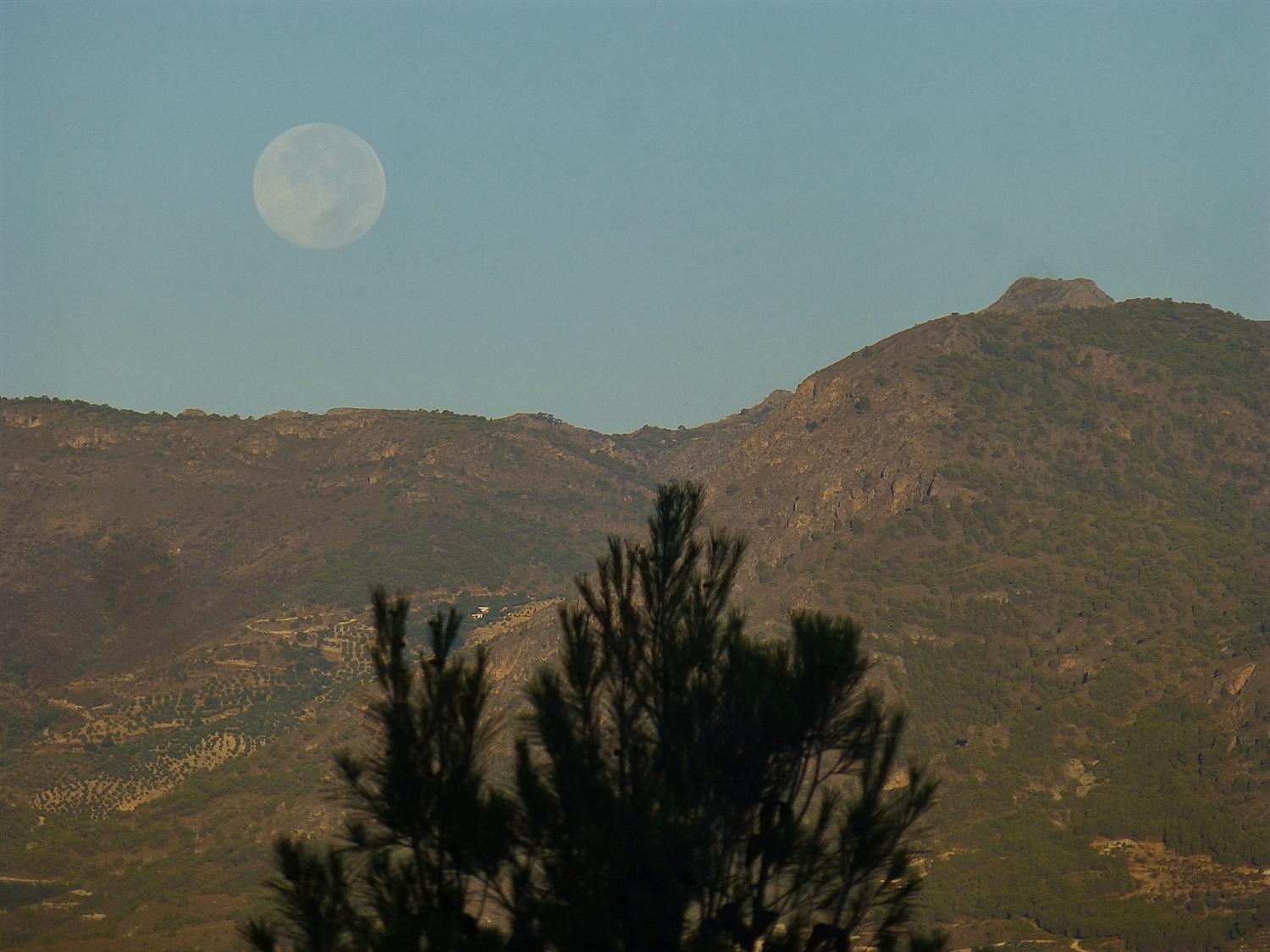 The setting full moon