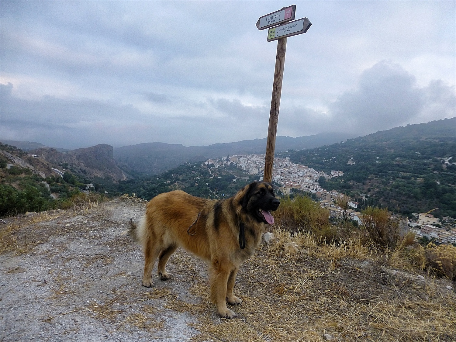 Kyra wishing the clouds behind her were a sign of rain and cooler weather, sadly that is not the case