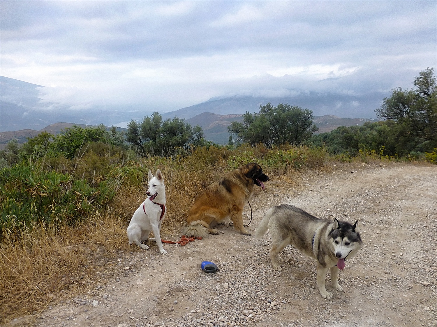 The view to the coast today, yep correct there is isn't one! No one was particularly happy about a group photo today