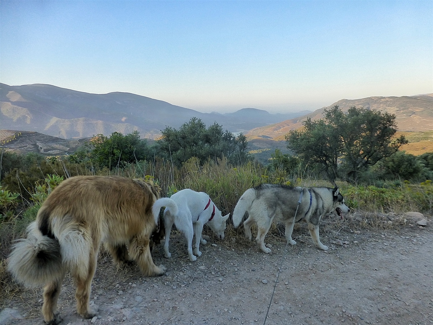 The conga! We are not looking down to the coast we have been sniffing, but you can see the cloud on the sea.
