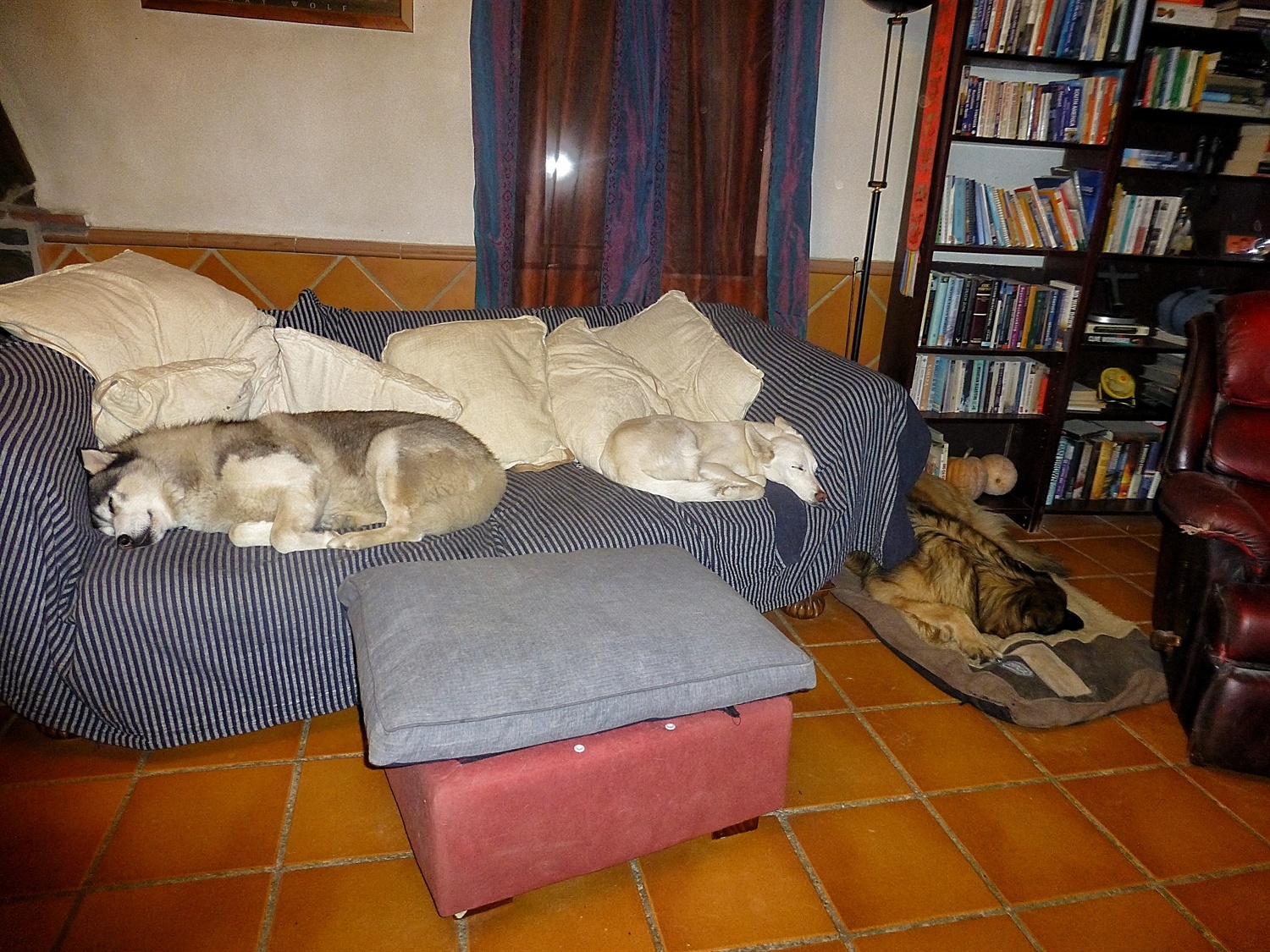 This was us settling down for the night
