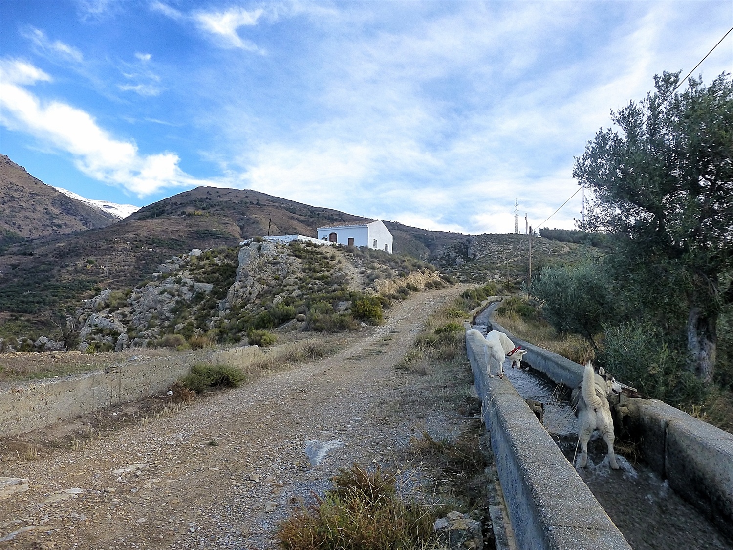 In the acequia which is flowing again. You can also see the snow level