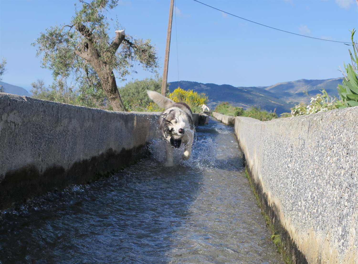 Shaking water