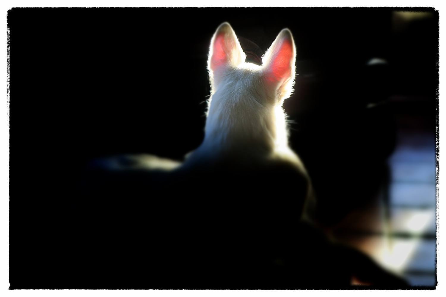 Glow in the dark Rita