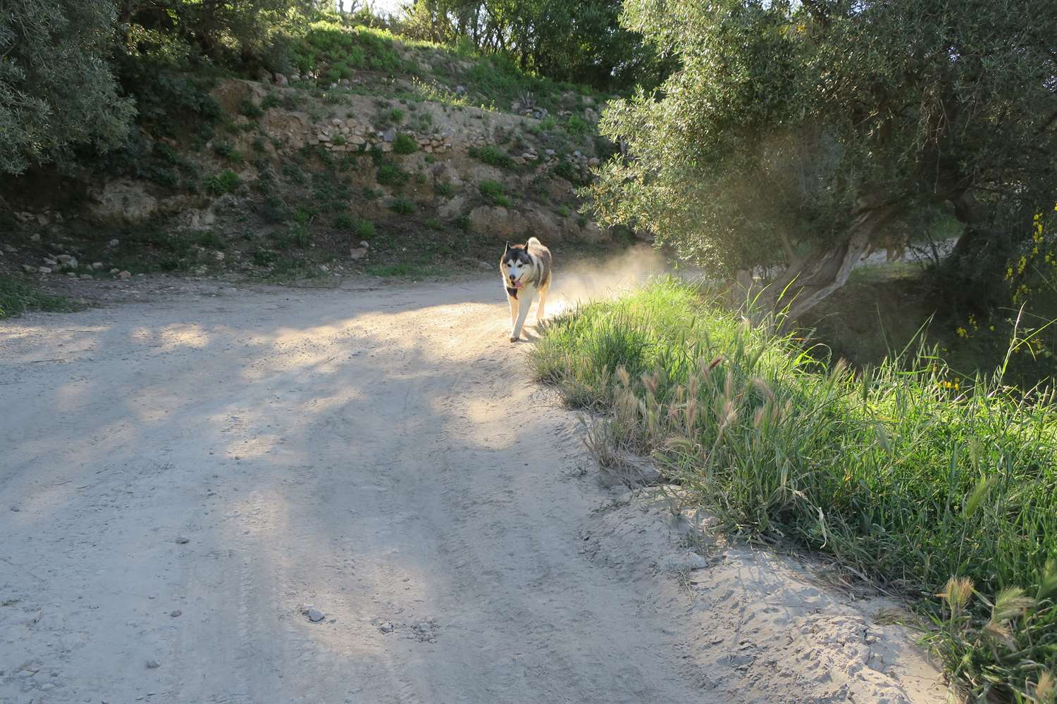 Coming around the corner kicking up dust