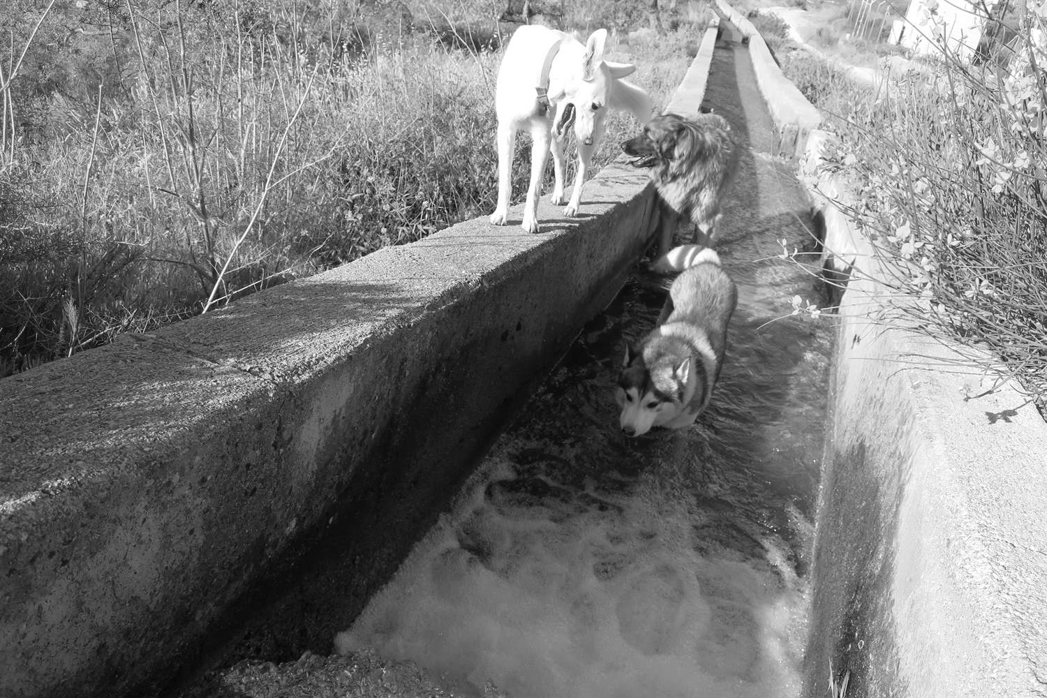 How's the water Khumbu