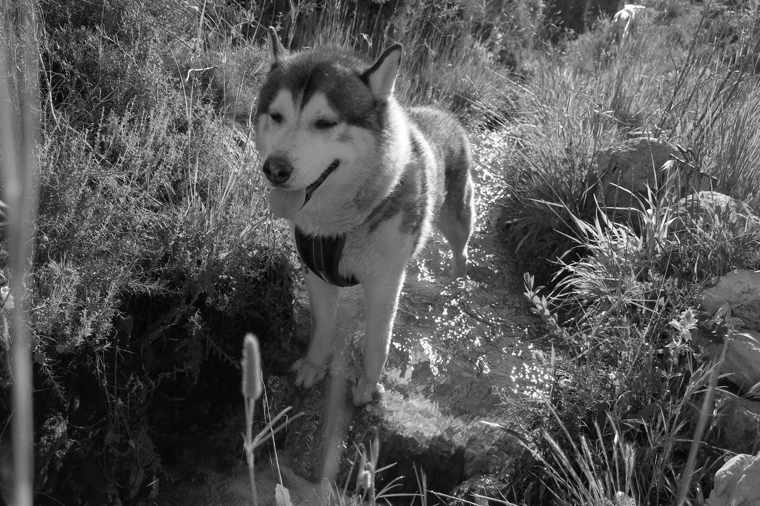 This is so lovely standing in the water