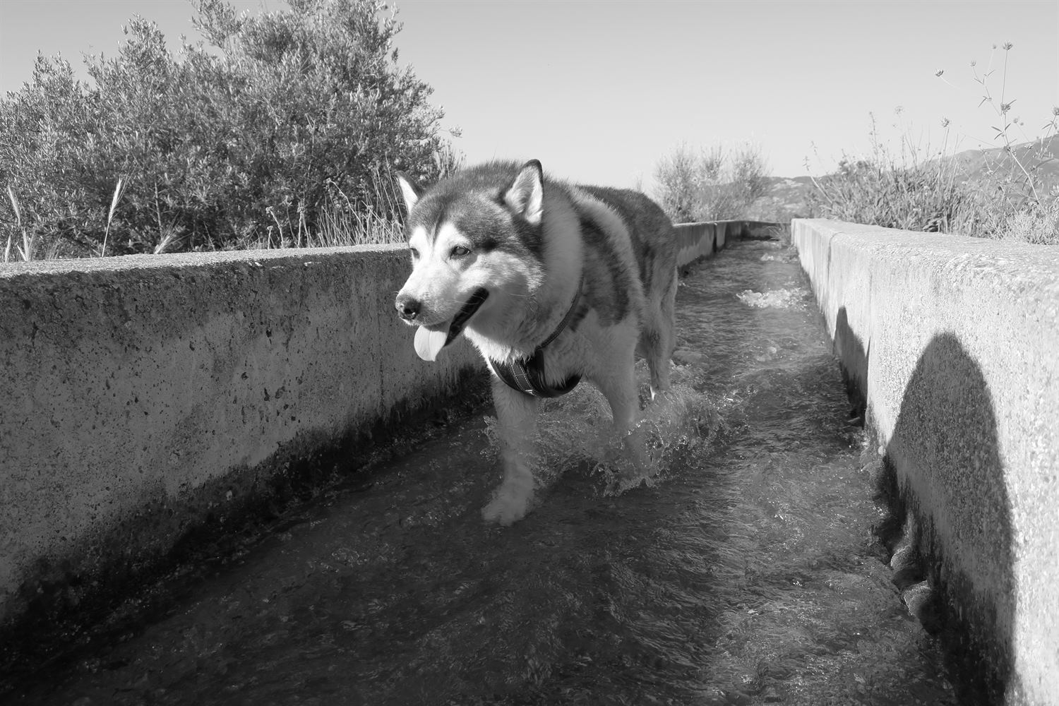 So happy in this water