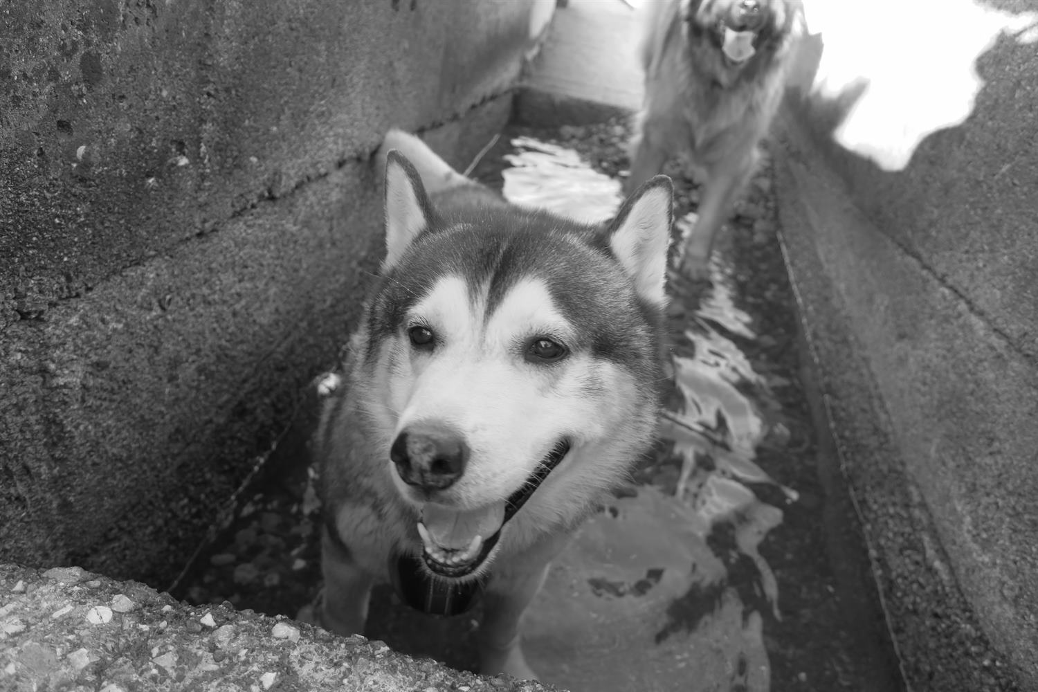 Khumbu happy to find a puddle