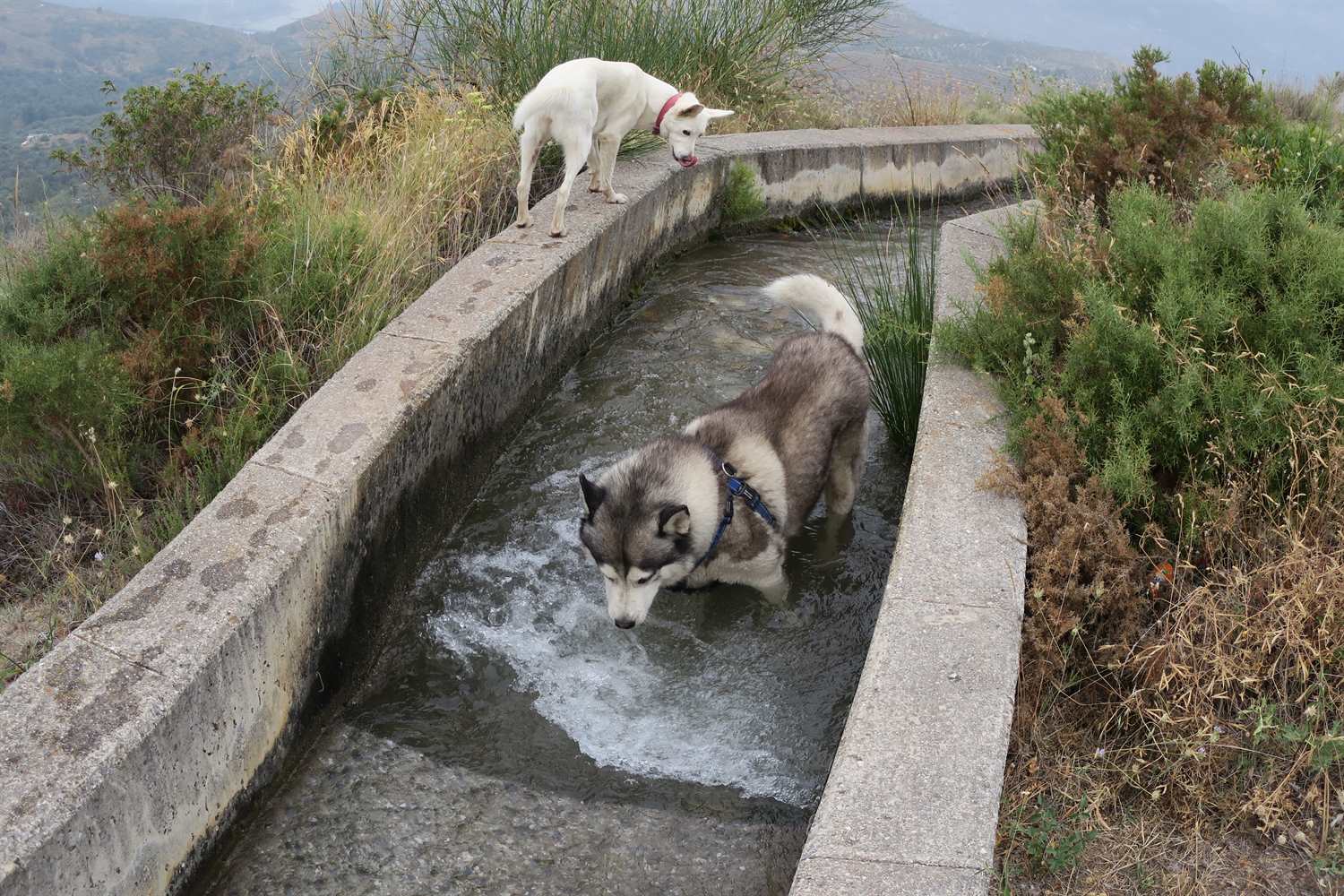 A very satisfying amount of water