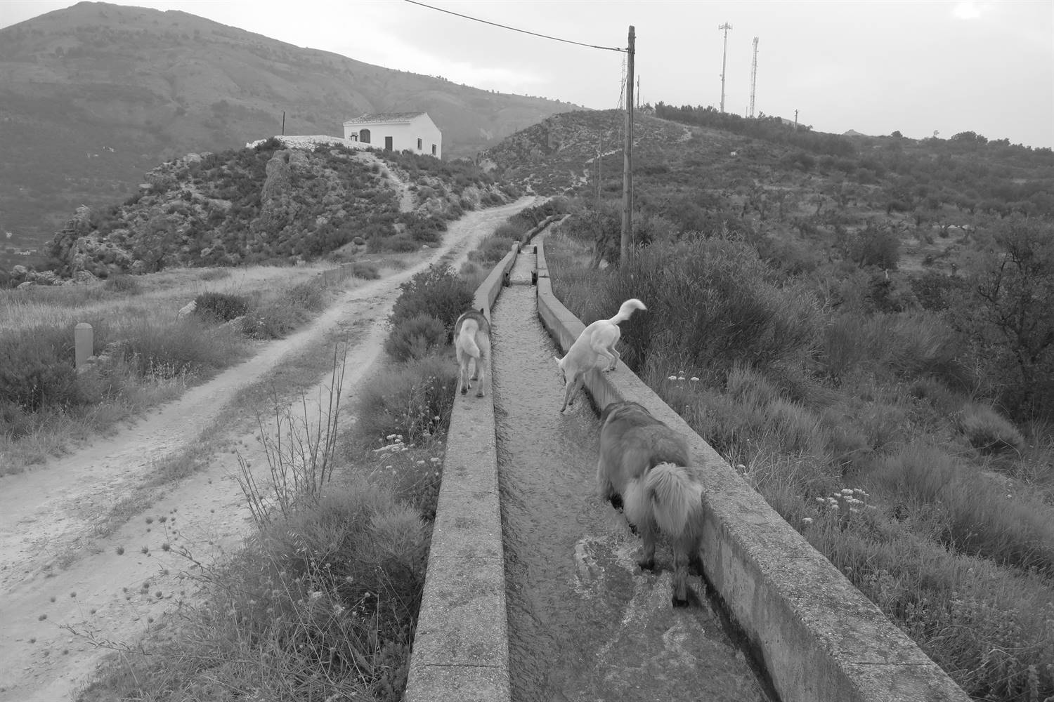 Wall walking time
