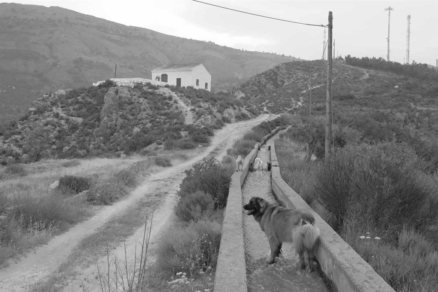 Khumbu is into wall walking