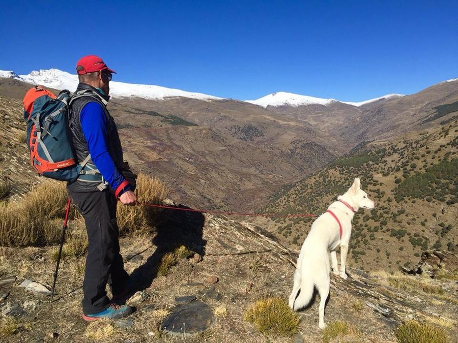 Rita and Hu'dad. Rita was looking for the Ibex