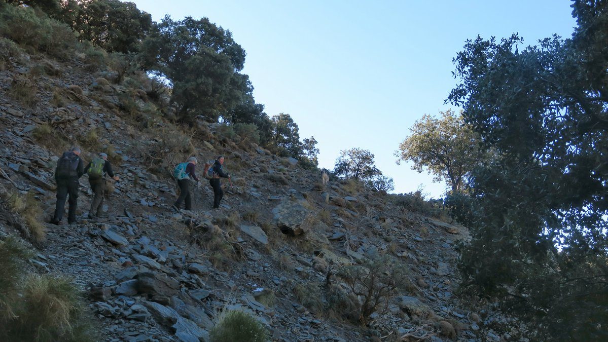 On our way up in the shade