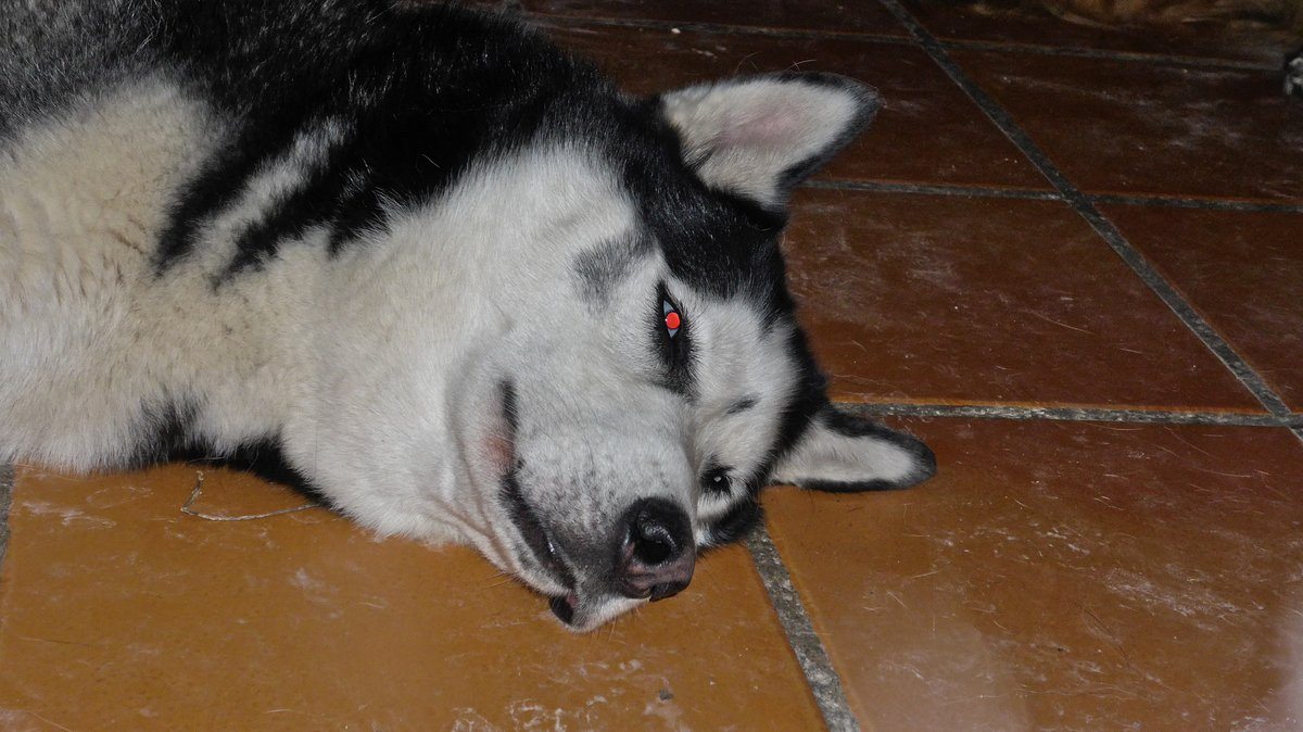 Arko pretending to be asleep but his devil eye gives him away