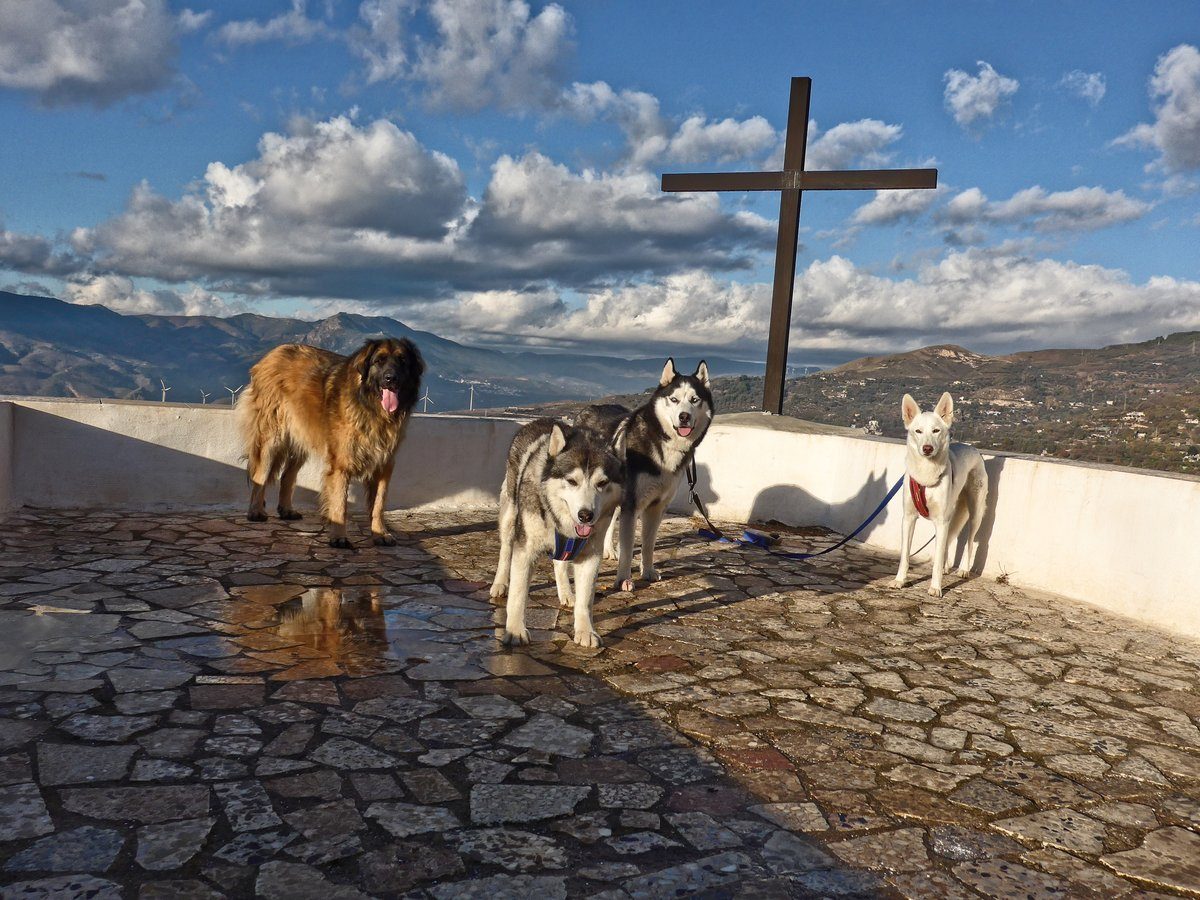  Group shot with clouds and a puddle