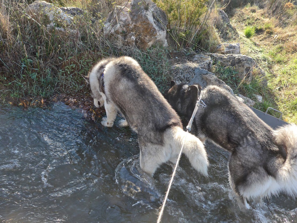 The boys having a paddle