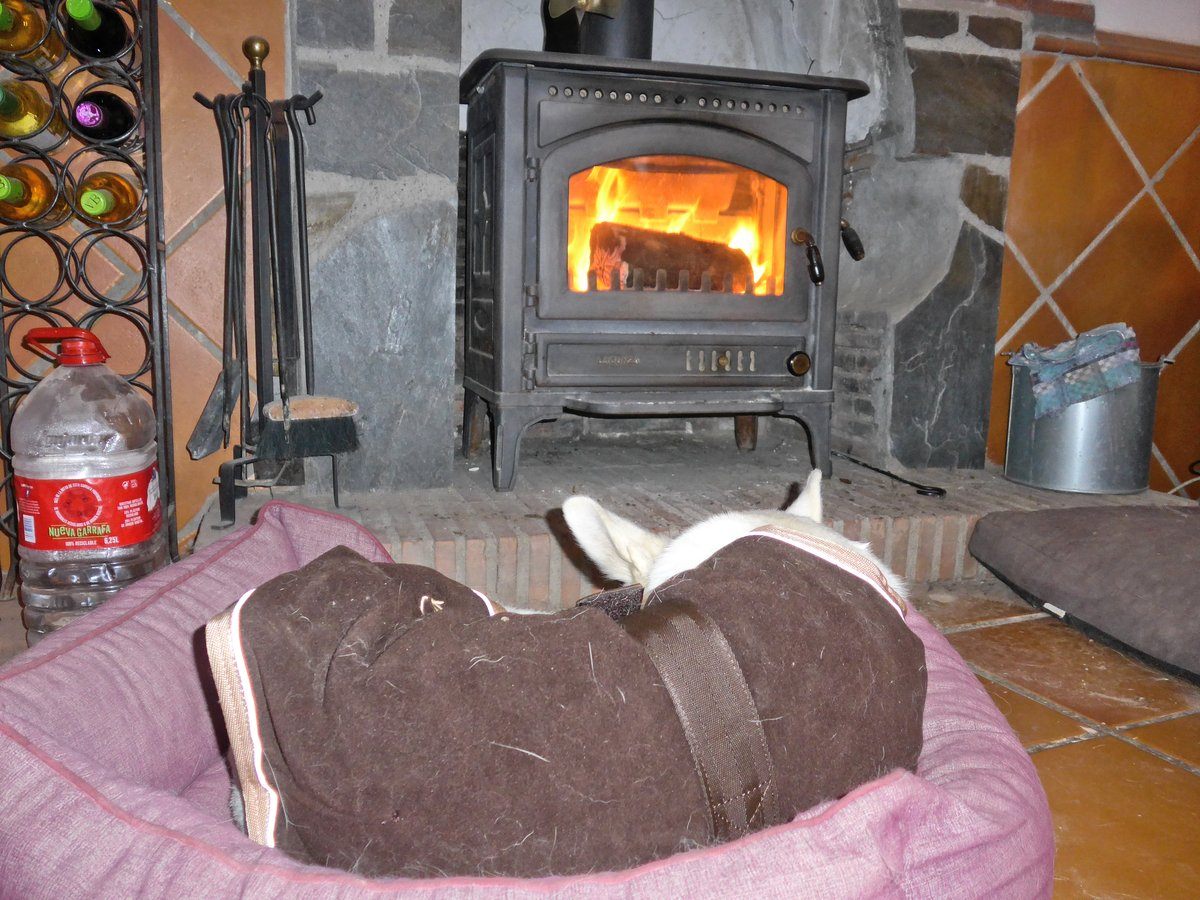 Rita in her magic cape in front of the fire