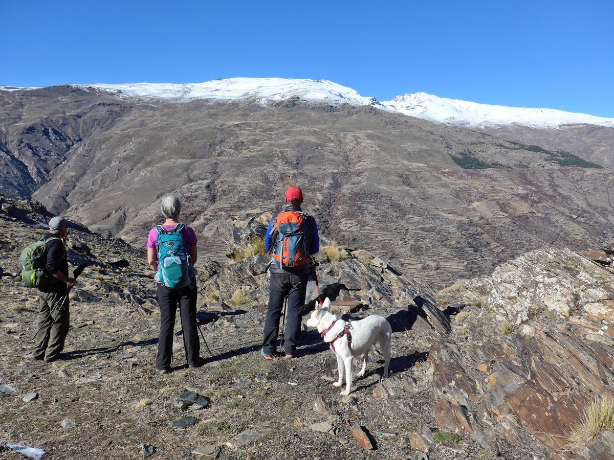 Hu'dad, Laura and Sam looking at the view. Rita wanting to view Ibex