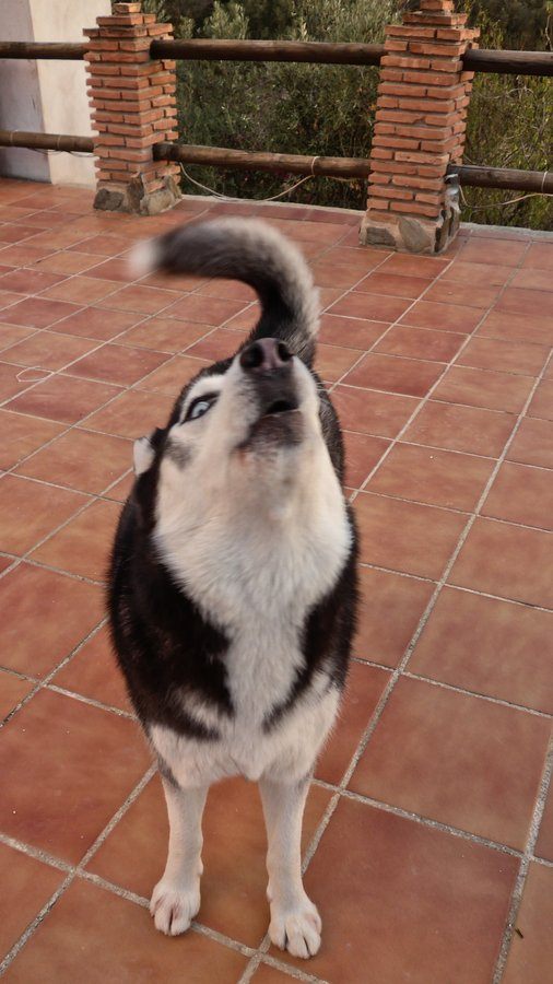 Arko had a lot to say trying to tell hu'mum about the clouds