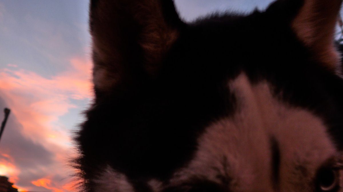 Arko's sunset picture, he wouldn't stay