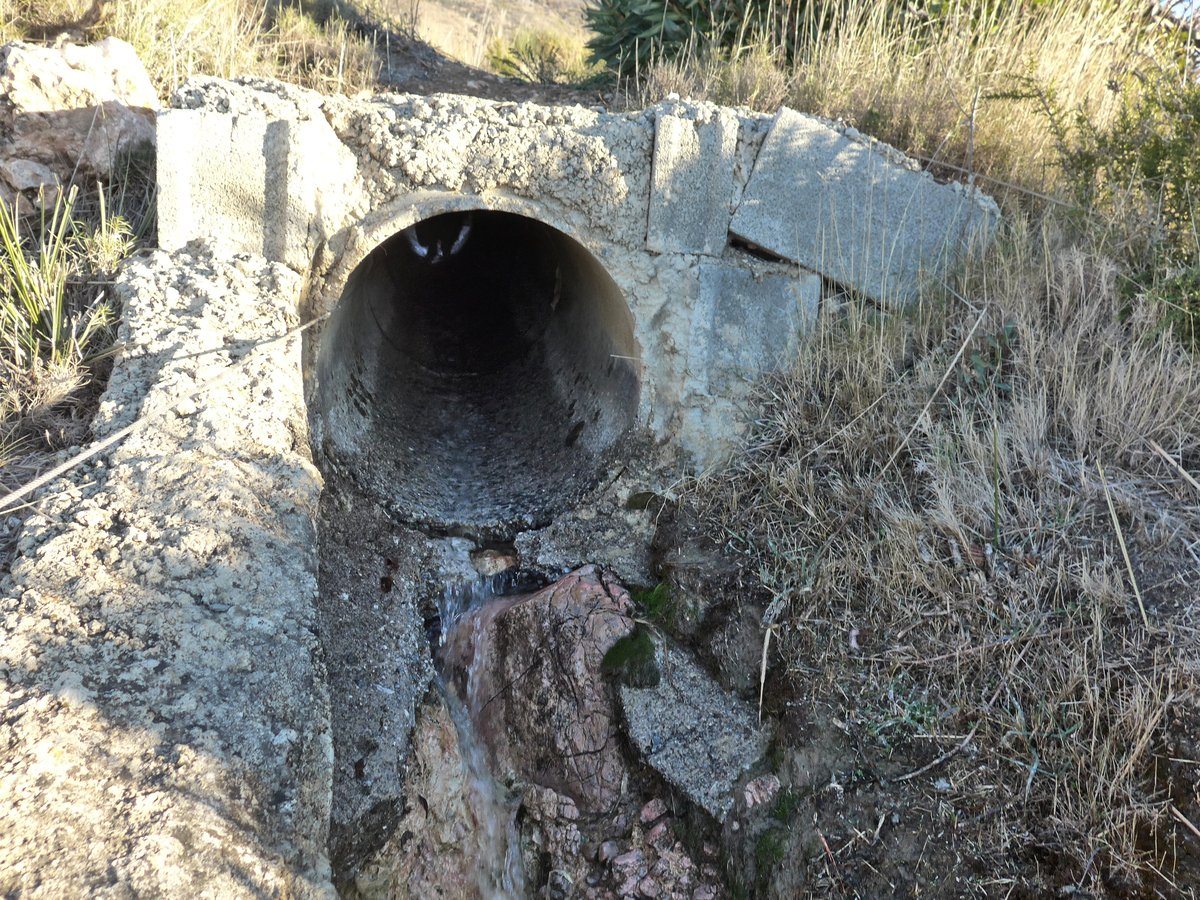 Arko decided to go and investigate the tunnel