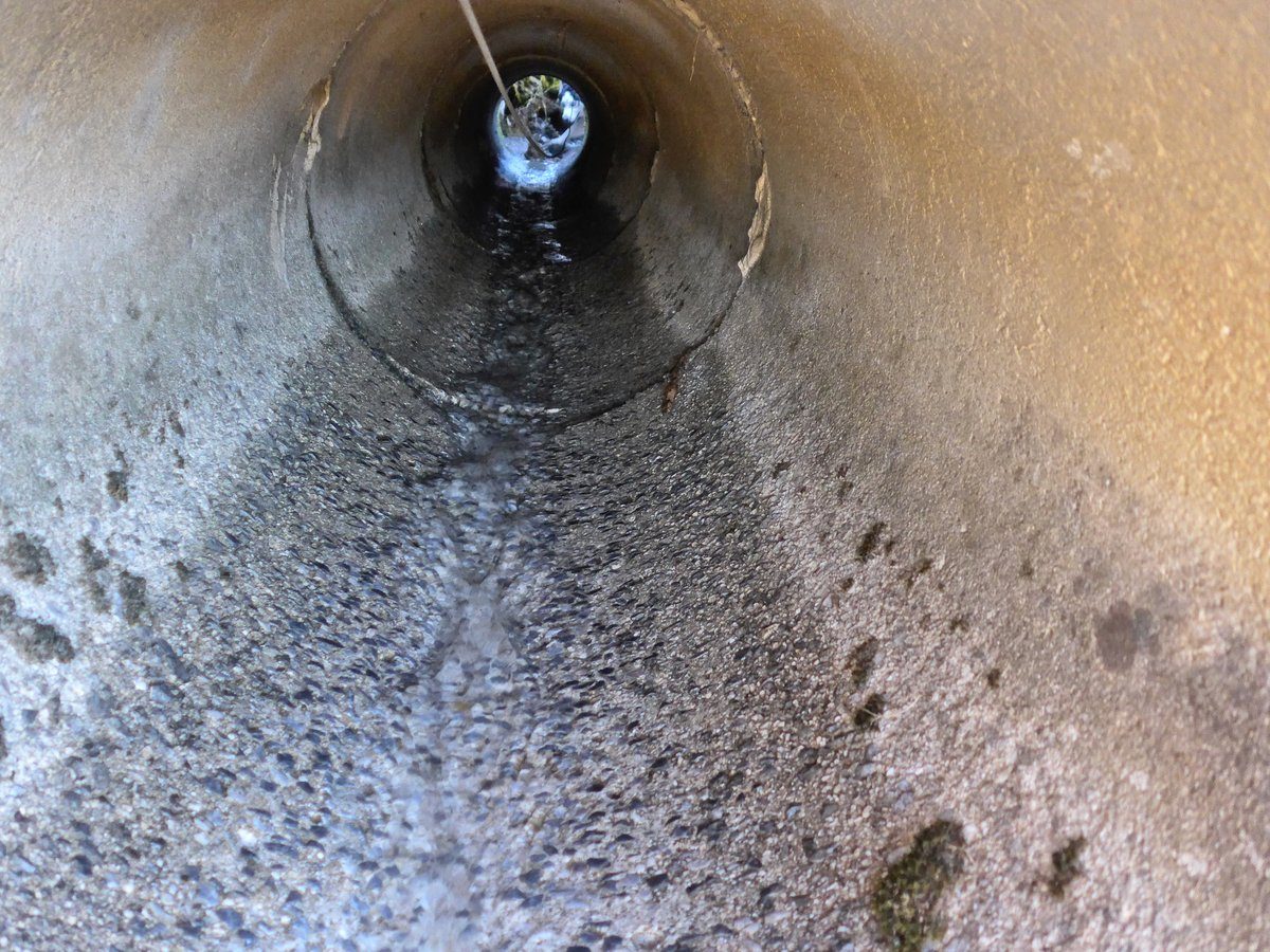 He popped out the other side of the tunnel