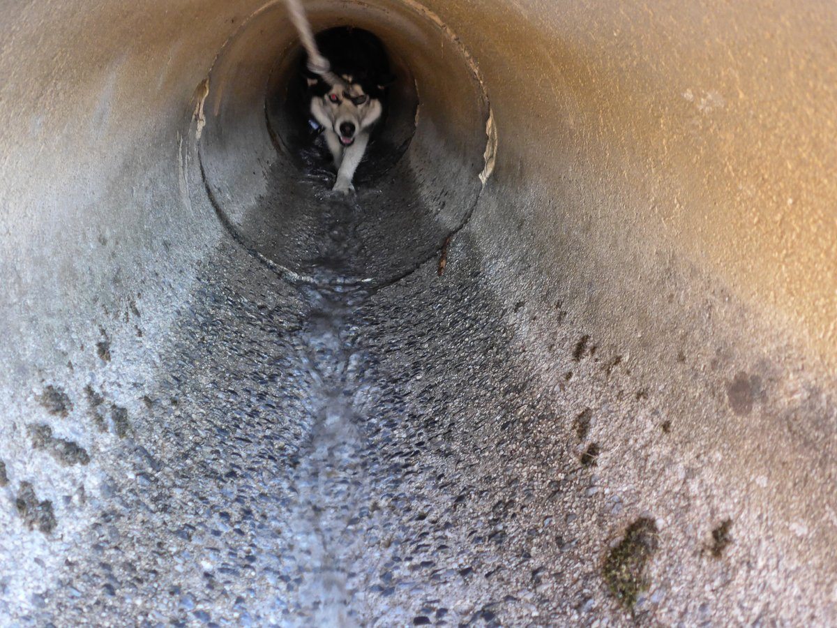 Arko coming back through the tunnel