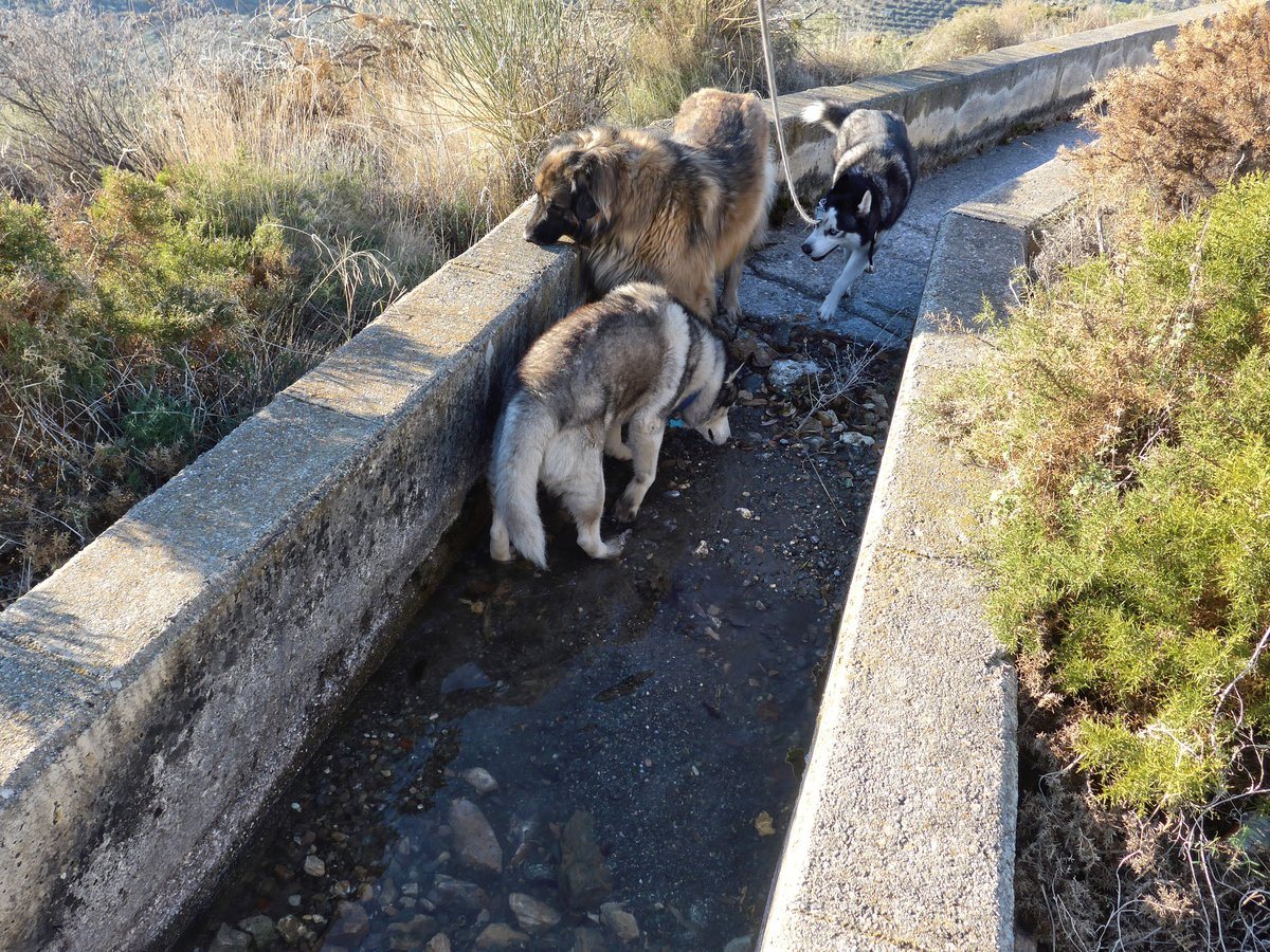 The acequia was not running, but we did manage a paddle