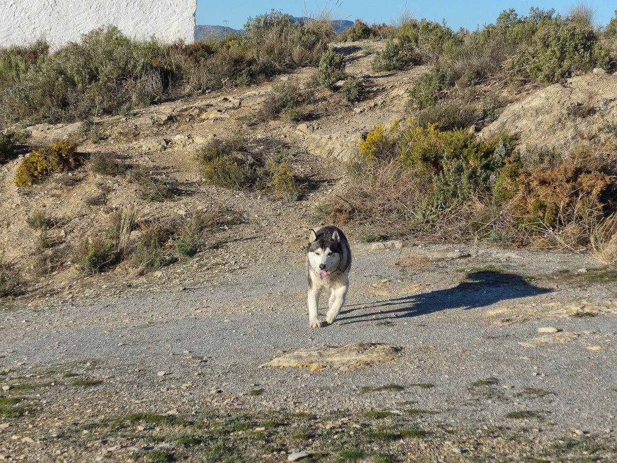 Khumbu coming back from visiting the ermita again
