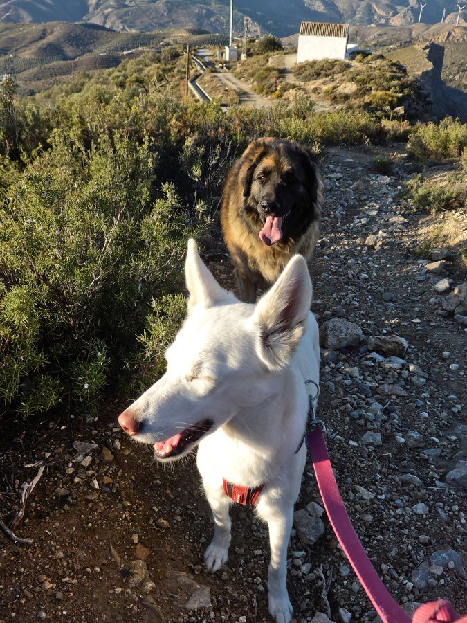 The girls looking back down towards the ermita
