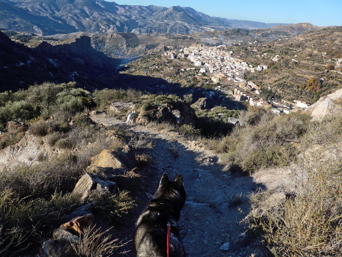 Heading down towards home, Rita off lead